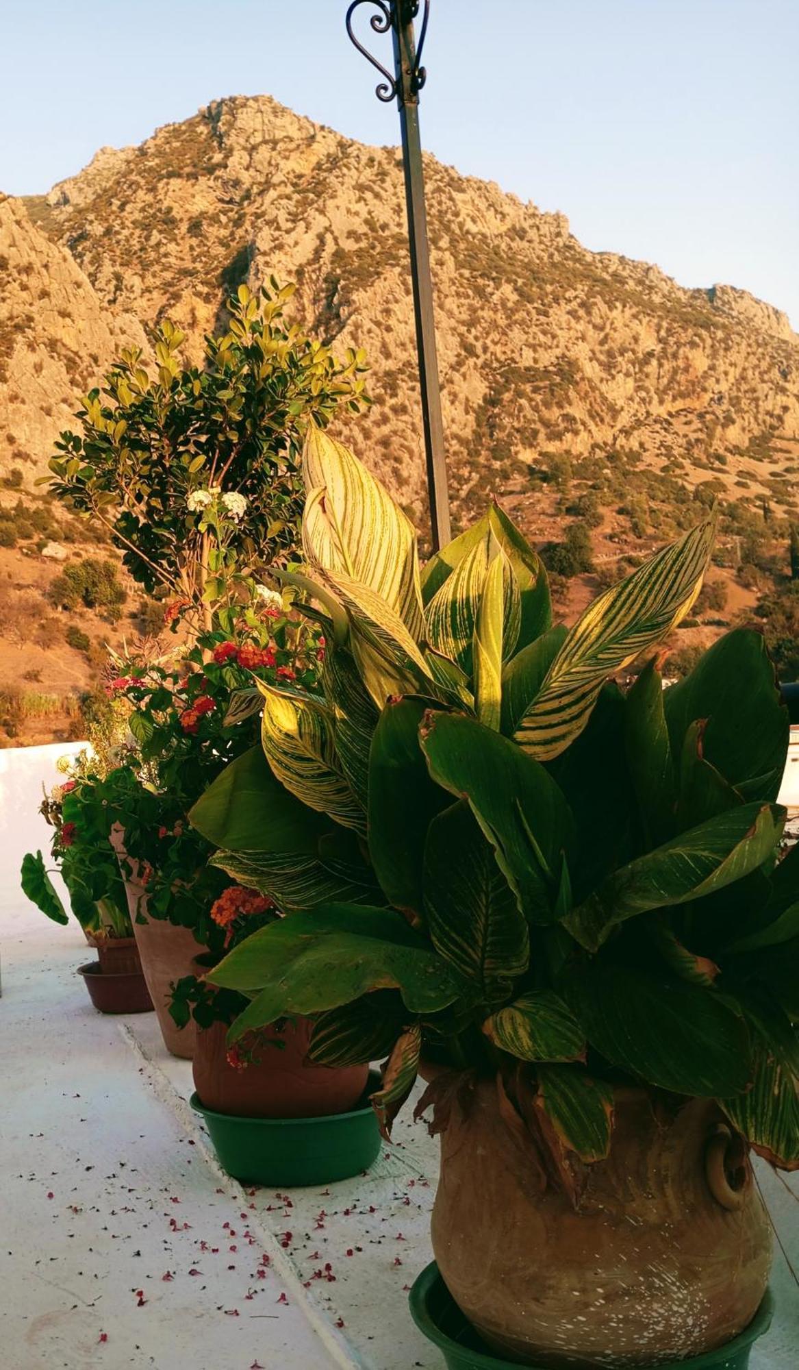 Dar Sbaa Bed & Breakfast Chefchaouen Exterior foto